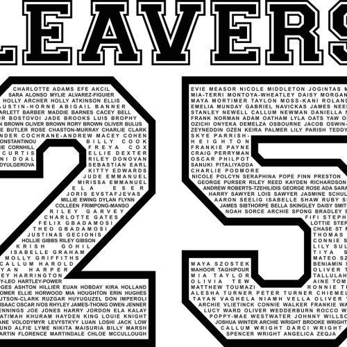 Debden Park High School Class of 2025 Hoodie (Year 11)